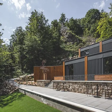 Forest Hotel