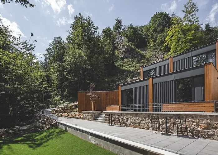 Forest Otel