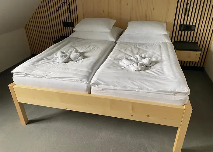Forest * Vír